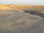 V23d9001 A20v164 U805 dM uk.jpg